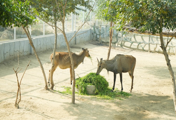 Facility Image