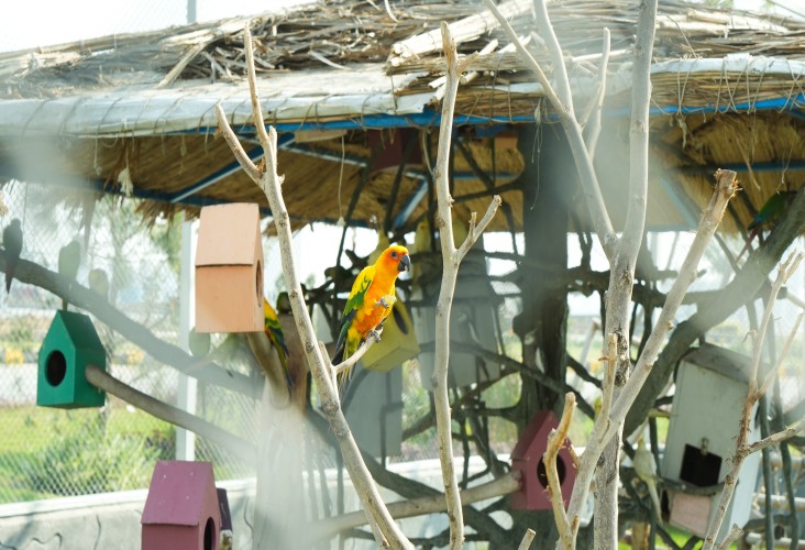 Facility Image